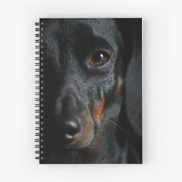 Item preview, Atentamente, Rudy designed and sold by Lori Walton.