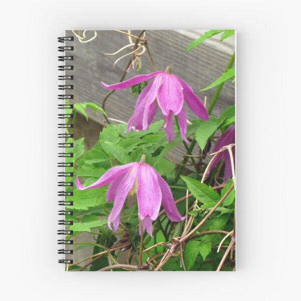 Item preview, Clematis Texanisis designed and sold by Epazia Espino.