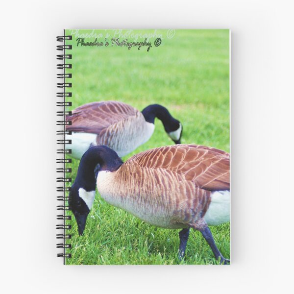 Artikelvorschau, Feeding Geese entworfen und verkauft von Phae1024.