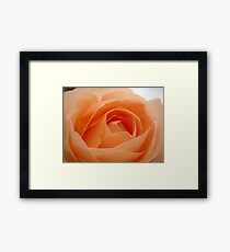Delicate Framed Print