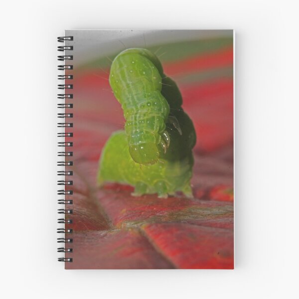 Item preview, Garden worm standing on crimson persimon leaf designed and sold by Rick Fin.