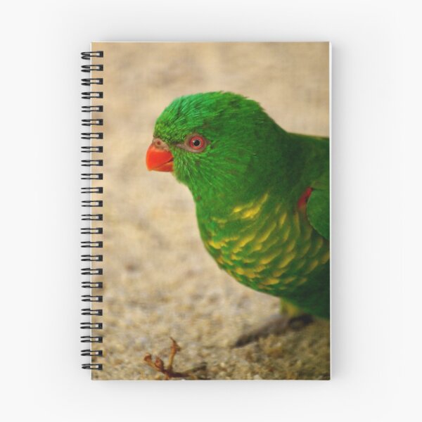 Item preview, Scaly-breasted Lorikeet designed and sold by Tamara  Kenneally.
