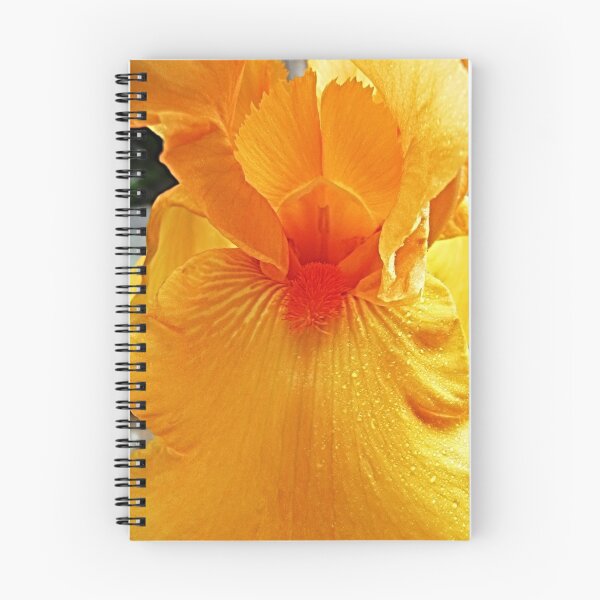 Item preview, Apricot Iris © designed and sold by jansnow.