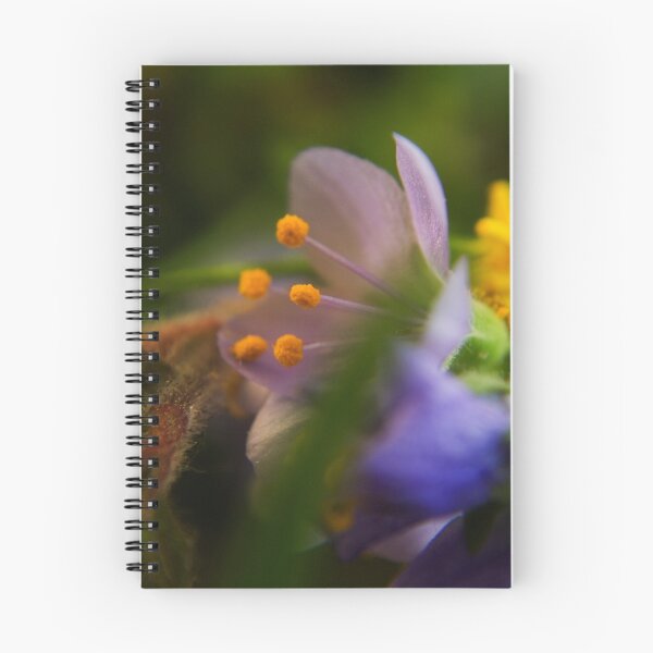 Item preview, Palette (from wild flowers collection) designed and sold by Antanas.