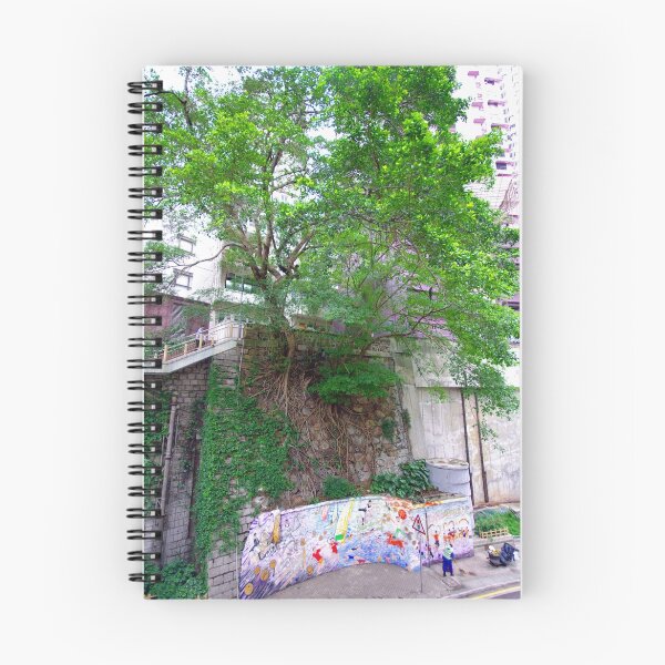 Item preview, Tree growing  from Hong Kong rock face. designed and sold by Darius4522.