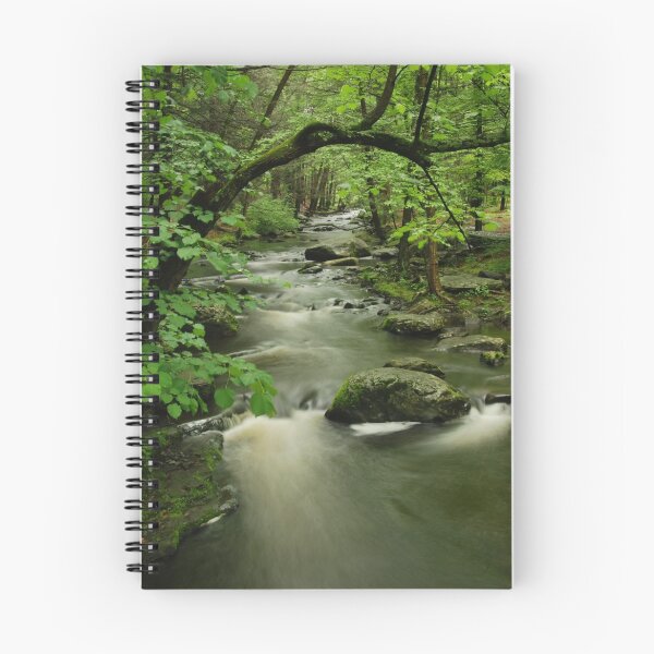 Item preview, Forest Stream designed and sold by Stephen Vecchiotti.