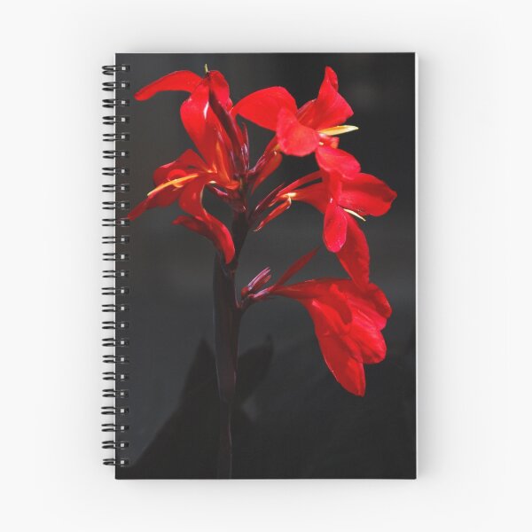 Item preview, All Around Red designed and sold by Barbara Manis.