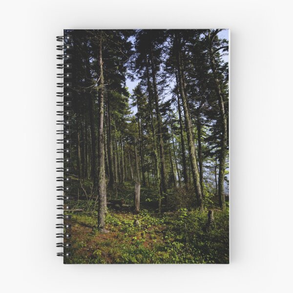 Artikelvorschau, Dark Forest entworfen und verkauft von Theresa Wall Duggan.