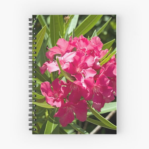 Item preview, Pink Oleander designed and sold by Memaa.