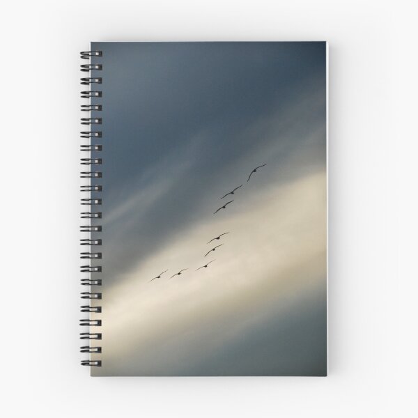 Item preview, homeward bound designed and sold by Anthony Mancuso.