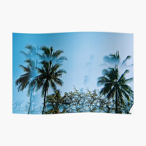 Psychedelic Palms in Cairns Poster