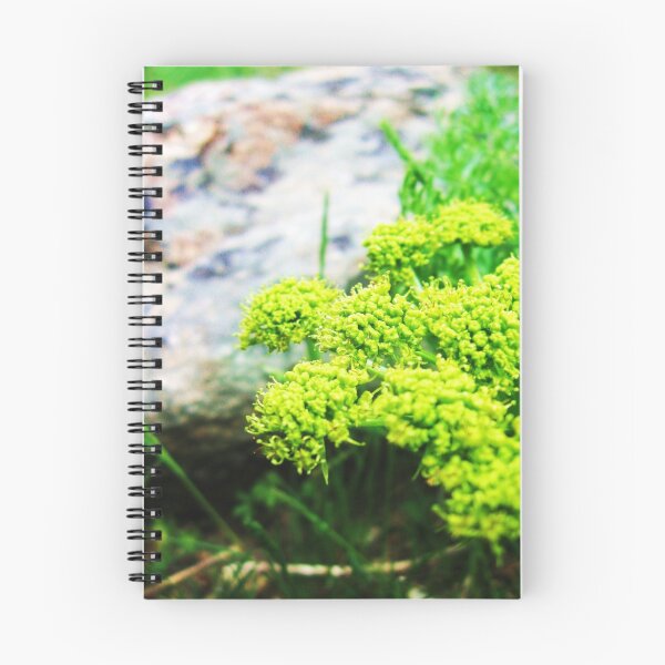 Item preview, Pristine designed and sold by MRPhotography.