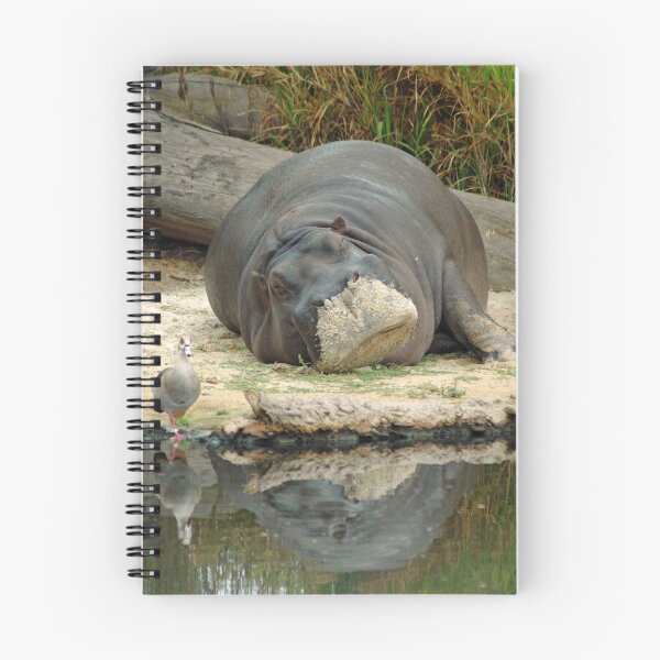 Artikelvorschau, Sandy Hippo entworfen und verkauft von Alison Badgery.