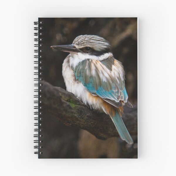 Item preview, Red Backed Kingfisher designed and sold by smylie.