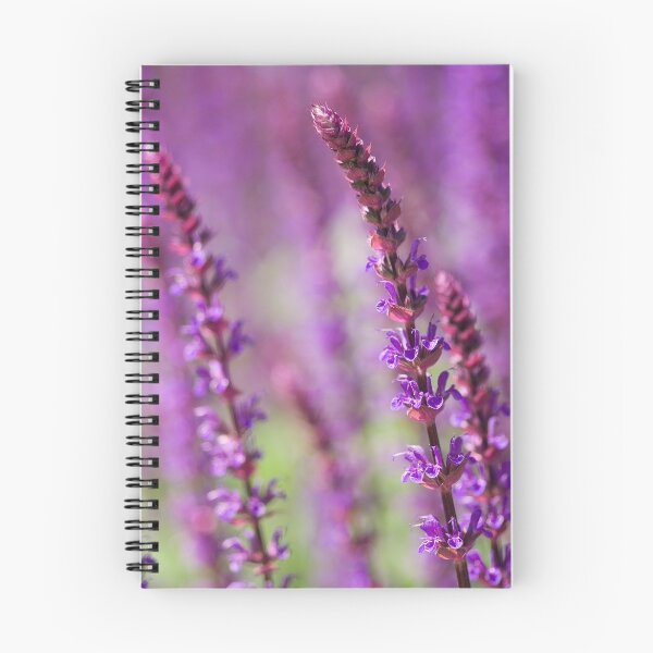 Item preview, Summer purple designed and sold by HelenaBrophy.