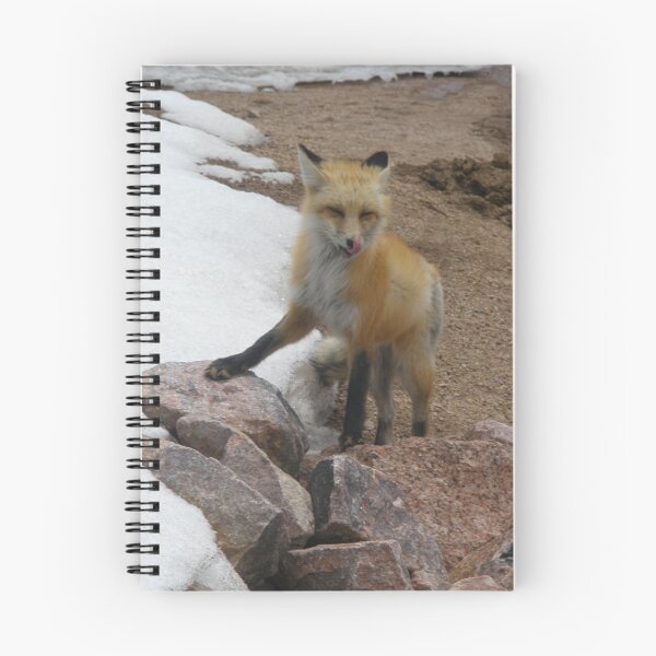 Item preview, Fox at 11000 feet Pikes Peak designed and sold by Anthea  Slade.