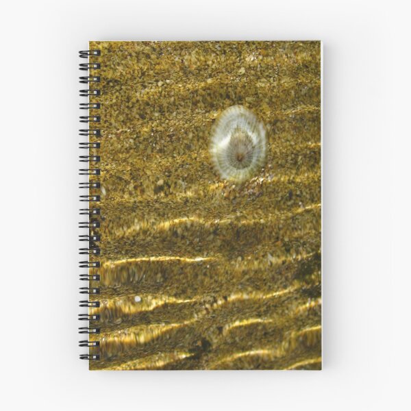Item preview, 'Opihi ( Limpet).  designed and sold by Sherry Lynn Crawford.