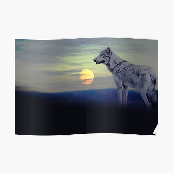 Wolf moon Poster