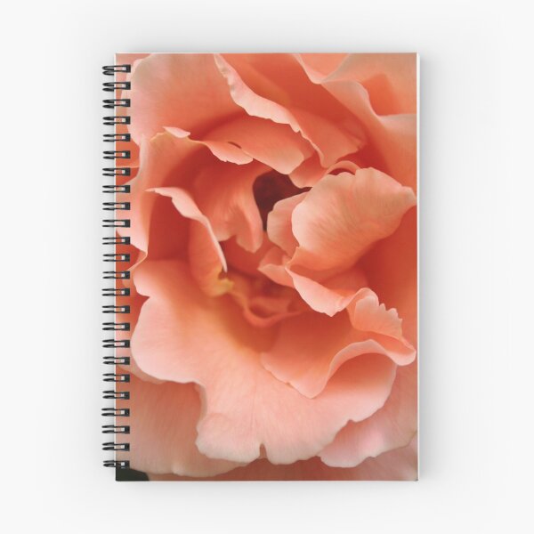 Item preview, Rose designed and sold by Jeanne Horak-Druiff.