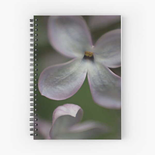 Aperçu de l'œuvre Lilas créée et vendue par Lita Medinger.