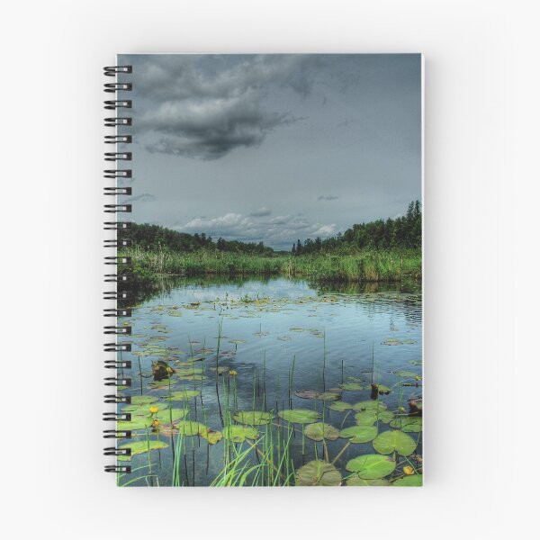 Item preview, Bottomless Lake designed and sold by Heather  Waller-Rivet  IPA.