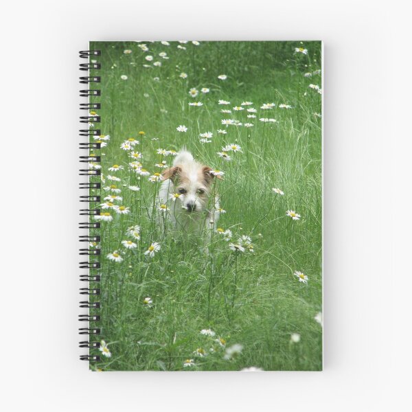Item preview, ~Decker, In the Daisy Patch~ designed and sold by NatureGreeting Cards ©ccwri.