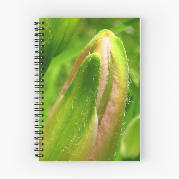 Artikelvorschau, Stargazer Lily Bud entworfen und verkauft von CynLynn.