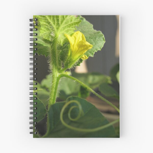 Item preview, Flowers in Cursive designed and sold by blackwingedbird.