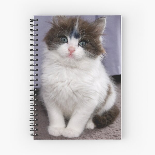 Artikelvorschau, That Darn Cat entworfen und verkauft von mspfoto.
