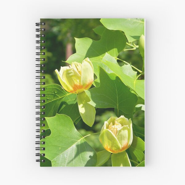 Item preview, Yellow Poplar Blossoms designed and sold by Dandelion Dilluvio.