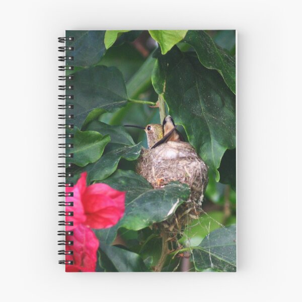 Item preview, Nesting Hummer designed and sold by Anne-Marie Bokslag.