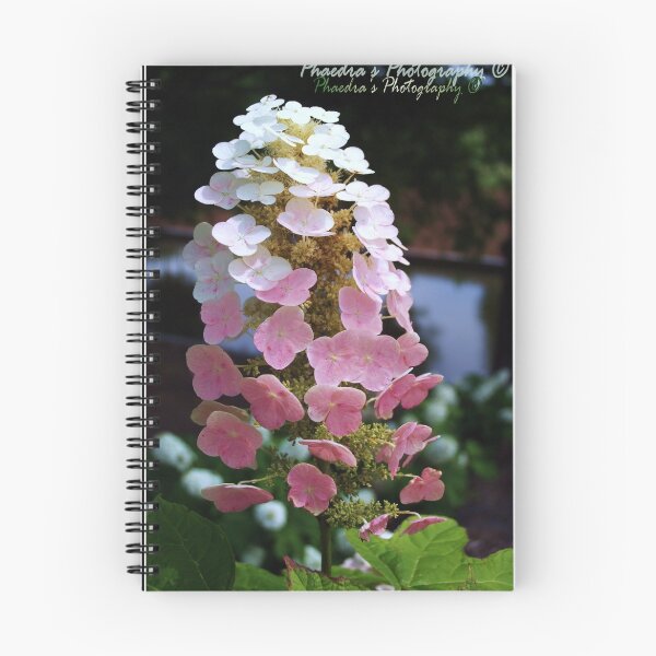 Item preview, Flower Blossom designed and sold by Phae1024.