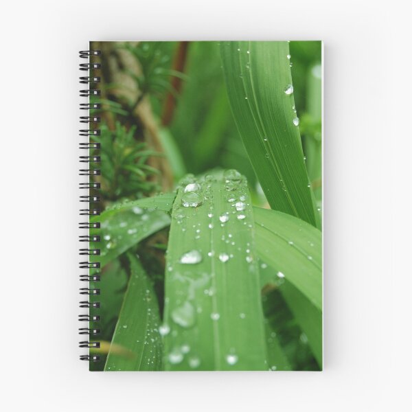 Artikelvorschau, After the rain entworfen und verkauft von funkybunch.