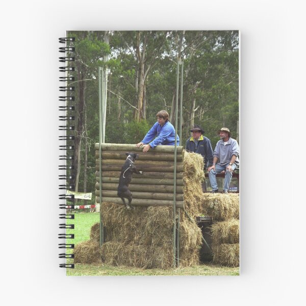 Item preview, Dog High Jump - Noojee, Gippsland, Victoria designed and sold by Bev Pascoe.