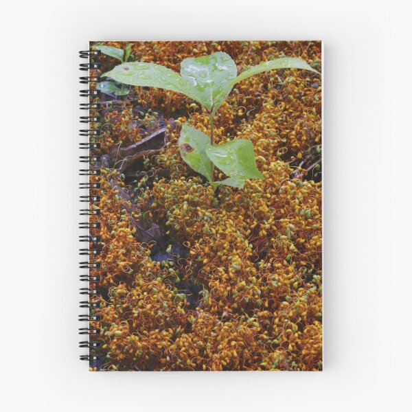 Item preview, Moss Waterfall designed and sold by Adam Bykowski.