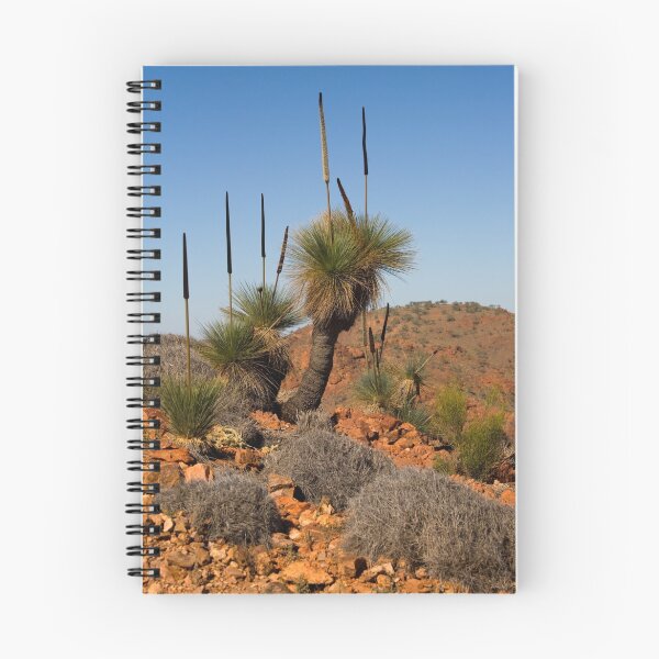 Item preview, Arkaroola Grass Trees 2 designed and sold by Richard Windeyer.