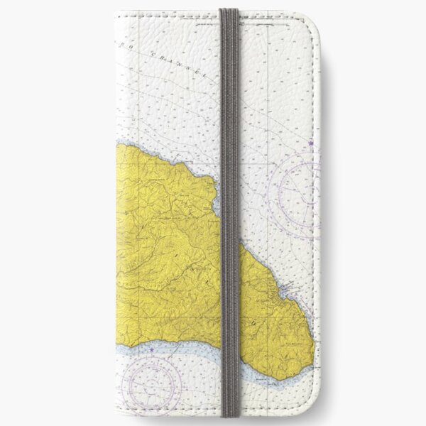 Vintage Map of Santa Catalina Island CA (1972) iPhone Wallet