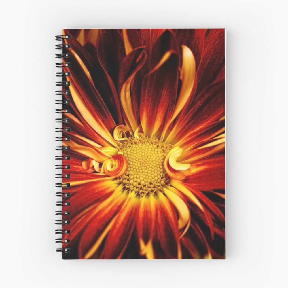 Vista previa del artículo con la obra «Cuaderno de espiral», diseñado y vendido por faust.