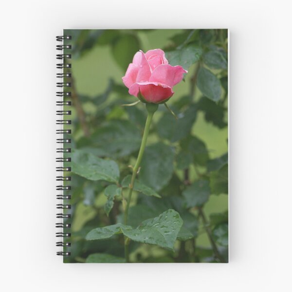 Item preview, Pink Rose Bud designed and sold by Cassy Greenawalt.