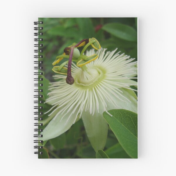 Item preview, Ultimate White Passion! designed and sold by Linda Scott.