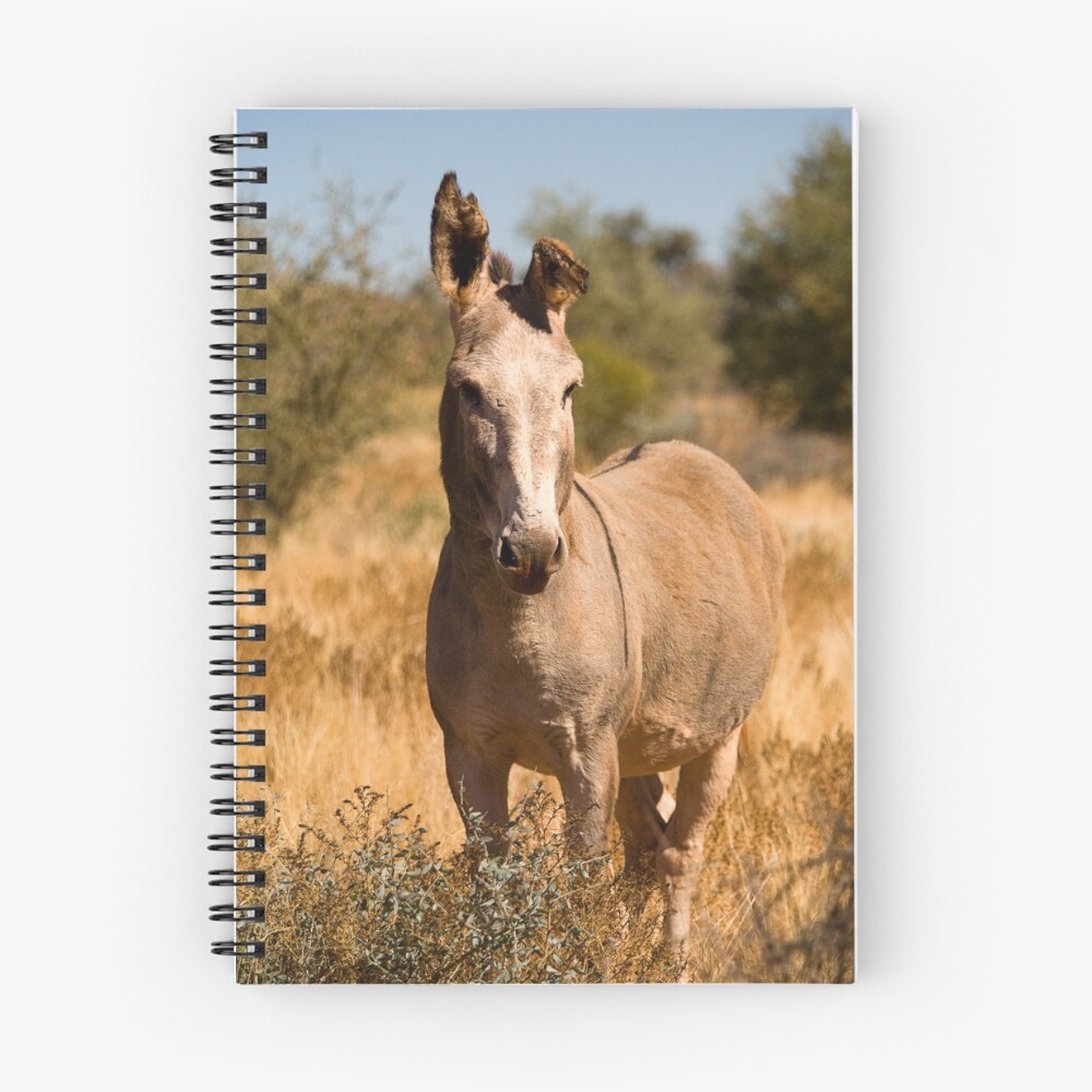 Item preview, Spiral Notebook designed and sold by RICHARDW.