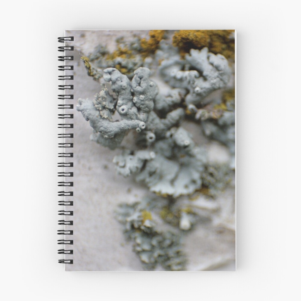 Item preview, Spiral Notebook designed and sold by SeekingDivinity.