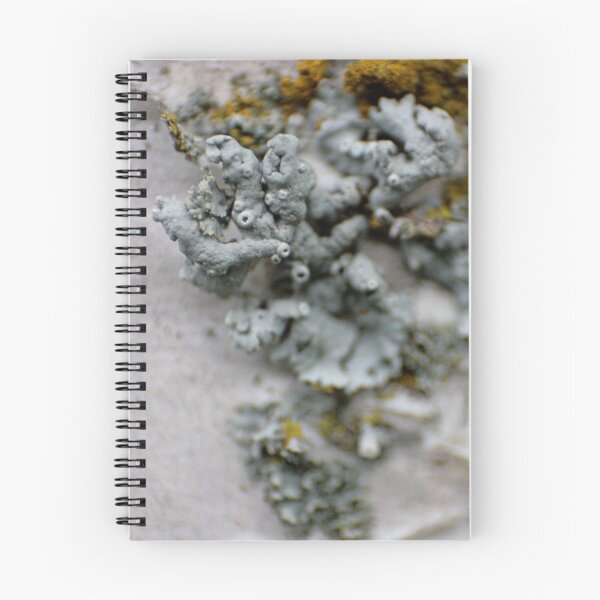 Item preview, Springtime Growth designed and sold by Lita Medinger.