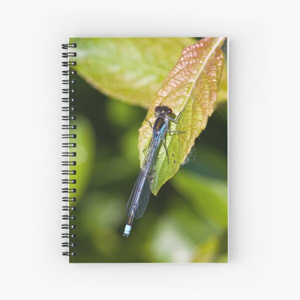 Red-eyed Damselfly (Erythromma najas) Spiral Notebook
