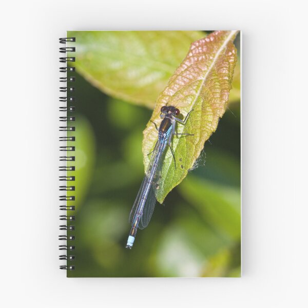 Item preview, Red-eyed Damselfly (Erythromma najas) designed and sold by Steve Chilton.
