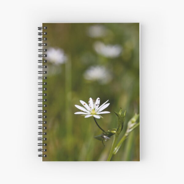 Lesser Stitchwort (Stellaria graminea) Spiral Notebook