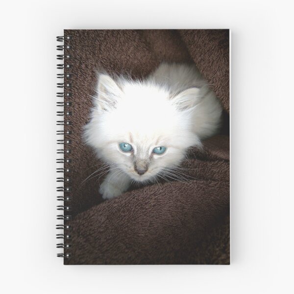 Item preview, Soft Blue designed and sold by WildCapture.