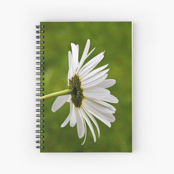 Oxeye Daisy (Leucanthemum vulgare) Spiral Notebook