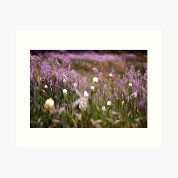 Meadow Magic Art Print