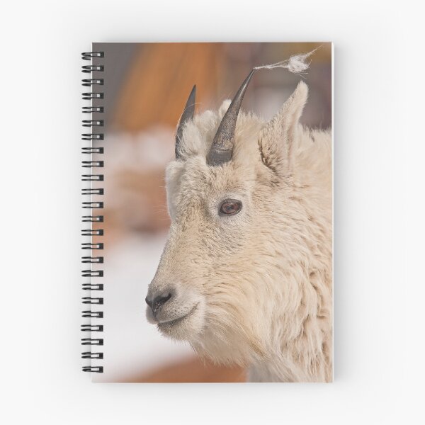 Item preview, Yearling Portrait designed and sold by Jay Ryser.